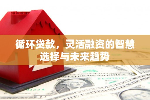 丰都循环贷款，灵活融资的智慧选择与未来趋势