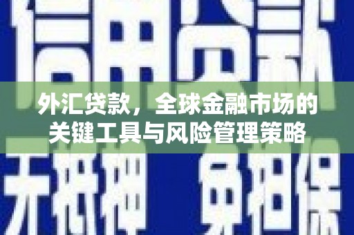 丰都外汇贷款，全球金融市场的关键工具与风险管理策略