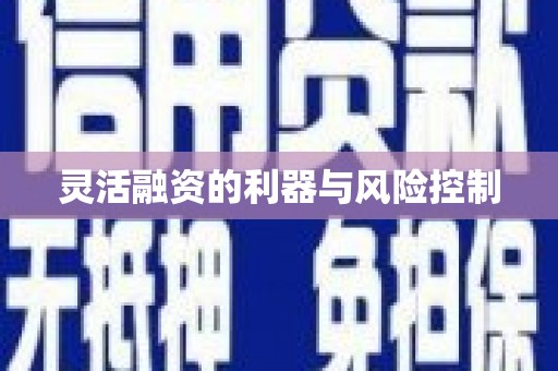 丰都灵活融资的利器与风险控制