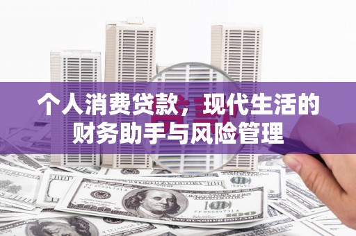 丰都个人消费贷款，现代生活的财务助手与风险管理