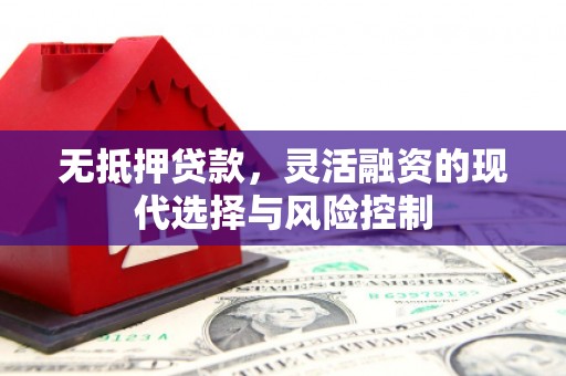 丰都无抵押贷款，灵活融资的现代选择与风险控制