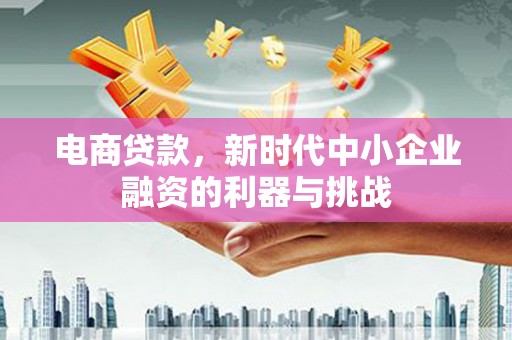 丰都电商贷款，新时代中小企业融资的利器与挑战