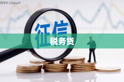 丰都税务贷
