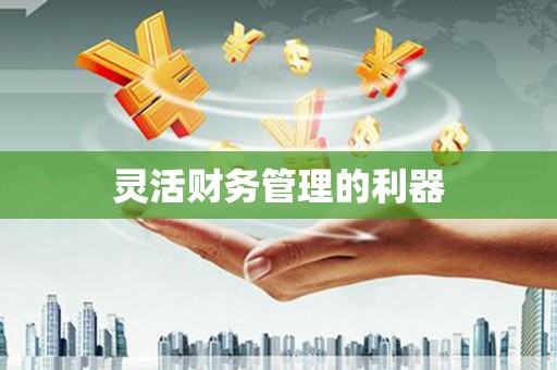 丰都灵活财务管理的利器