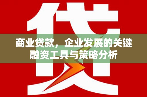 丰都商业贷款，企业发展的关键融资工具与策略分析