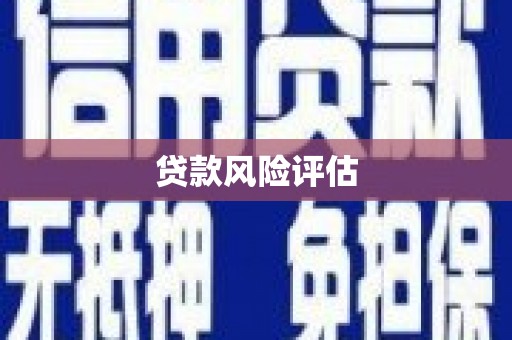 丰都贷款风险评估