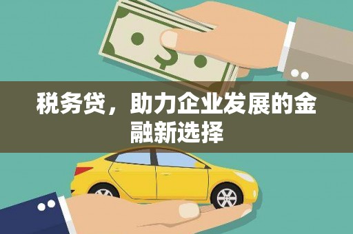 丰都税务贷，助力企业发展的金融新选择