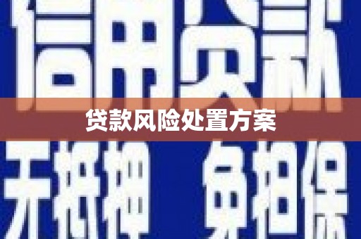 丰都贷款风险处置方案