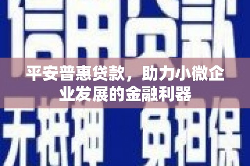 丰都平安普惠贷款，助力小微企业发展的金融利器