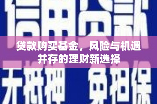 丰都贷款购买基金，风险与机遇并存的理财新选择