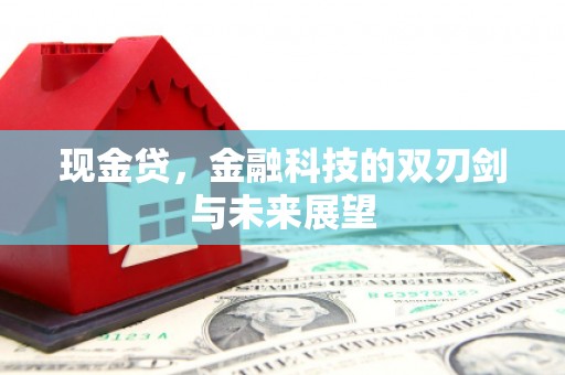 丰都现金贷，金融科技的双刃剑与未来展望