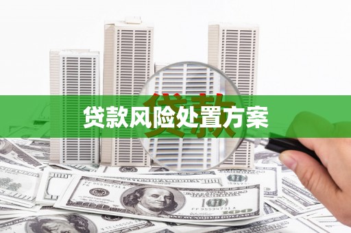 丰都贷款风险处置方案