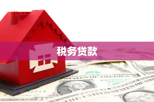 丰都税务贷款