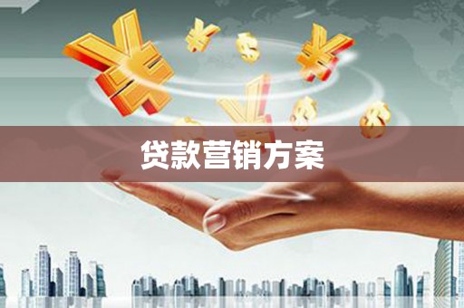 丰都贷款营销方案