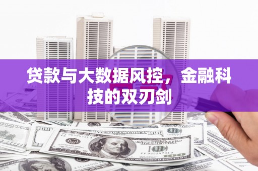 丰都贷款与大数据风控，金融科技的双刃剑