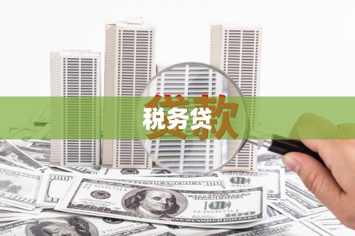 丰都税务贷