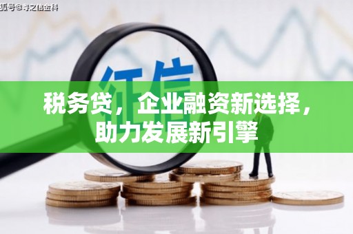 丰都税务贷，企业融资新选择，助力发展新引擎