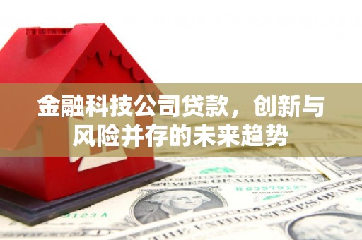 丰都金融科技公司贷款，创新与风险并存的未来趋势