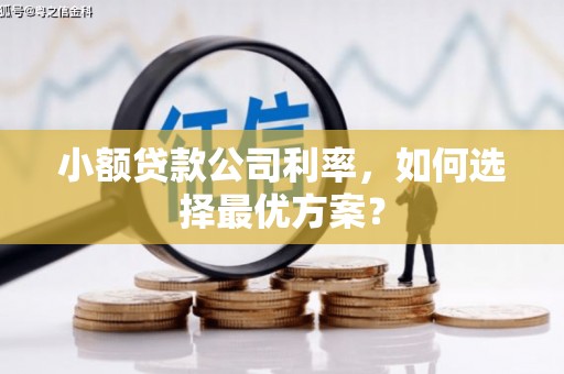 丰都小额贷款公司利率，如何选择最优方案？