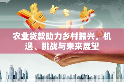 丰都农业贷款助力乡村振兴，机遇、挑战与未来展望