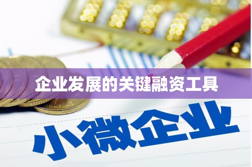 丰都企业发展的关键融资工具
