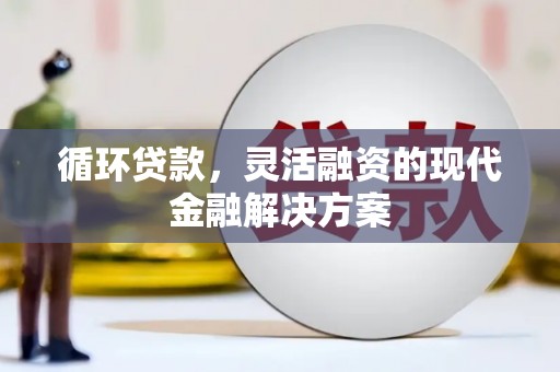 丰都循环贷款，灵活融资的现代金融解决方案