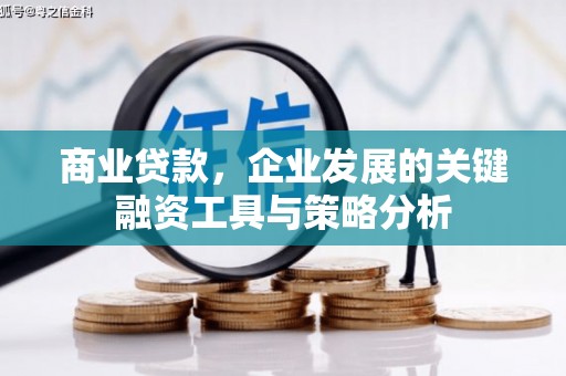 丰都商业贷款，企业发展的关键融资工具与策略分析