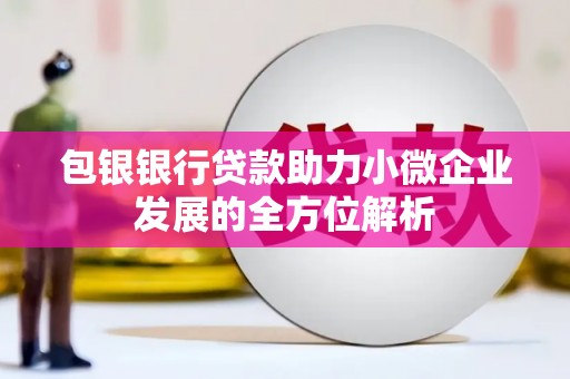丰都包银银行贷款助力小微企业发展的全方位解析