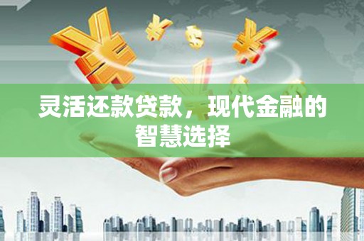 丰都灵活还款贷款，现代金融的智慧选择