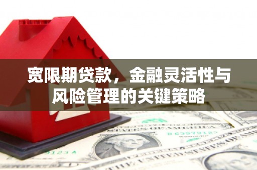 丰都宽限期贷款，金融灵活性与风险管理的关键策略
