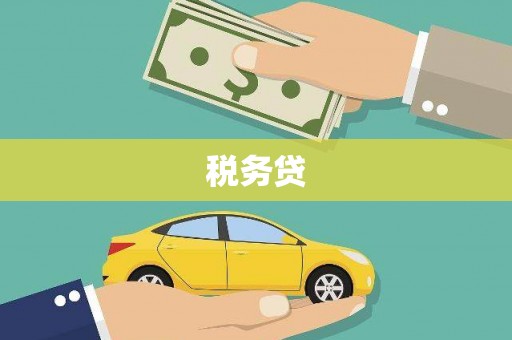 丰都税务贷