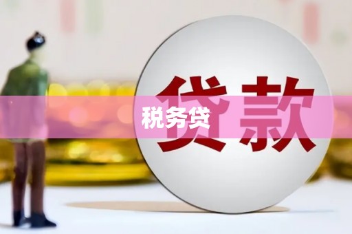 丰都税务贷