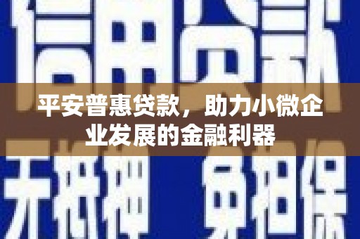 丰都平安普惠贷款，助力小微企业发展的金融利器