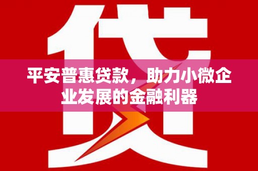 丰都平安普惠贷款，助力小微企业发展的金融利器
