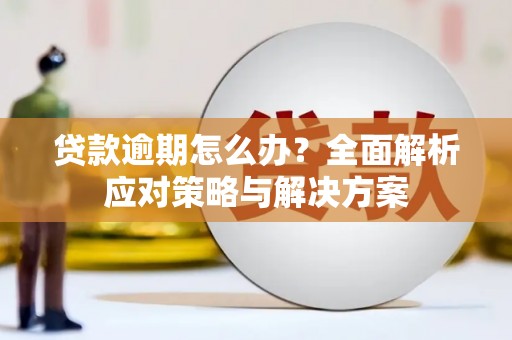 丰都贷款逾期怎么办？全面解析应对策略与解决方案
