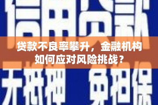 丰都贷款不良率攀升，金融机构如何应对风险挑战？