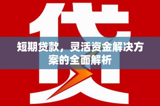 丰都短期贷款，灵活资金解决方案的全面解析