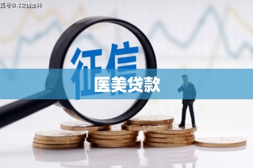 丰都医美贷款