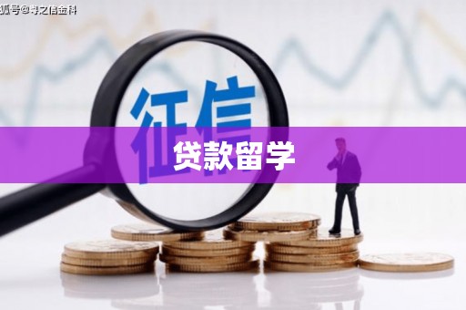 丰都贷款留学