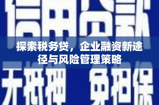 丰都探索税务贷，企业融资新途径与风险管理策略