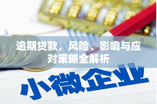 丰都逾期贷款，风险、影响与应对策略全解析