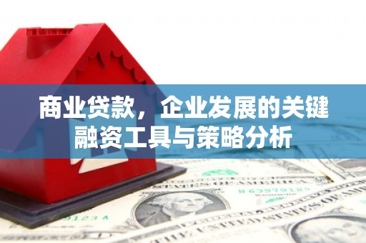 丰都商业贷款，企业发展的关键融资工具与策略分析