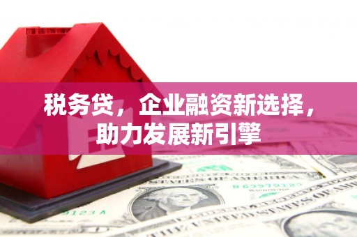 丰都税务贷，企业融资新选择，助力发展新引擎