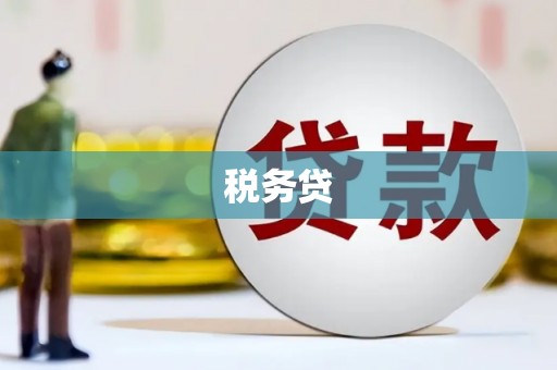 丰都税务贷