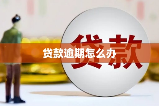 丰都贷款逾期怎么办