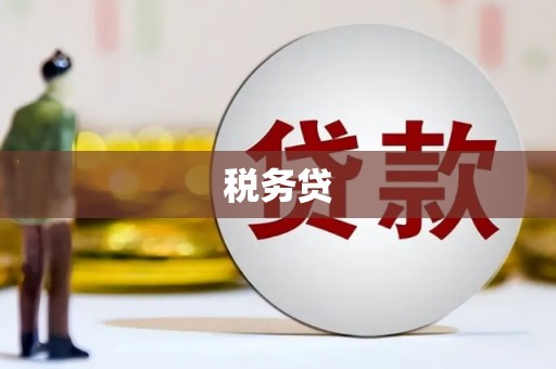 丰都税务贷