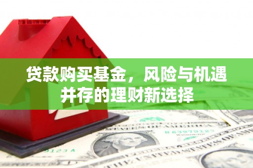 丰都贷款购买基金，风险与机遇并存的理财新选择