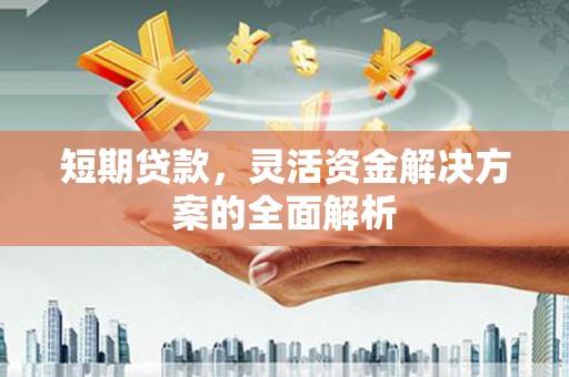 丰都短期贷款，灵活资金解决方案的全面解析