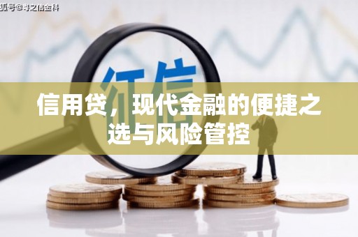丰都信用贷，现代金融的便捷之选与风险管控