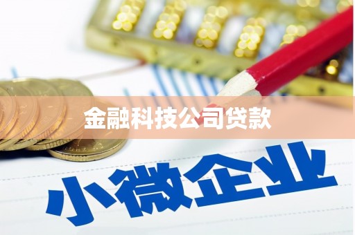 丰都金融科技公司贷款
